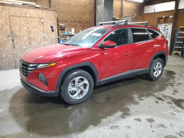 HYUNDAI TUCSON SEL 2023 with VIN 5NMJBCAE5PH275822 - Photo from auction