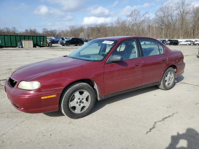 CHEVROLET CLASSIC 2005 with VIN 1G1ND52F75M220883 - Photo from auction