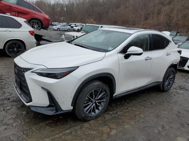 LEXUS NX 350 2022 with VIN 2T2GGCEZXNC002950 - Photo from auction