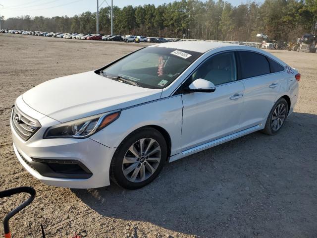 HYUNDAI SONATA SPO 2016 with VIN 5NPE34AF4GH316456 - Photo from auction