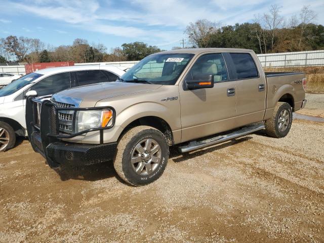 FORD F150 SUPER 2013 with VIN 1FTFW1EF1DKG48128 - Photo from auction