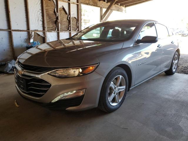 CHEVROLET MALIBU LT 2024 with VIN 1G1ZD5ST4RF166833 - Photo from auction