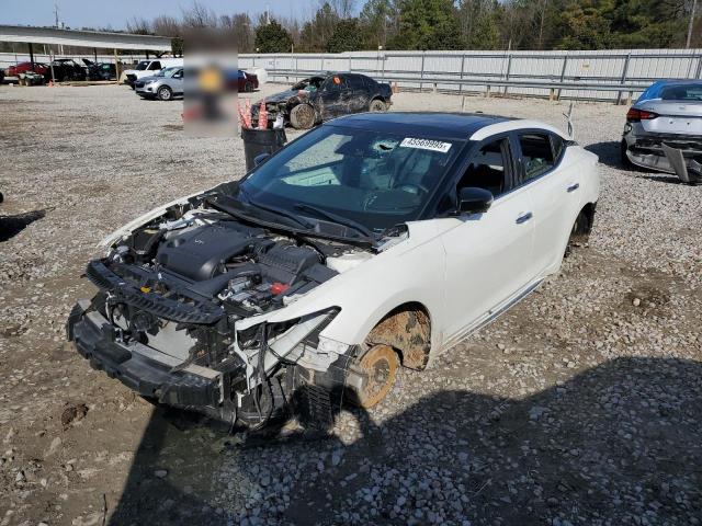 NISSAN MAXIMA PLA 2020 with VIN 1N4AA6FVXLC366547 - Photo from auction
