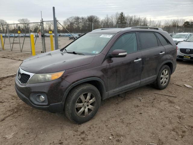 KIA SORENTO BA 2011 with VIN 5XYKT3A14BG107557 - Photo from auction