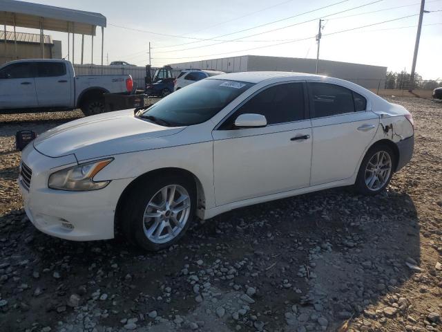 NISSAN MAXIMA S 2011 with VIN 1N4AA5AP6BC821623 - Photo from auction