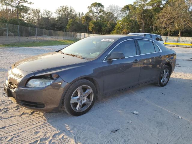 CHEVROLET MALIBU LS 2011 with VIN 1G1ZB5E15BF335893 - Photo from auction