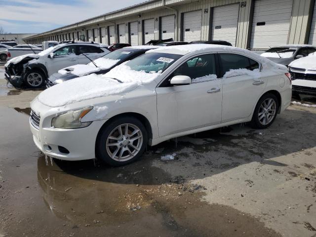 NISSAN MAXIMA S 2011 with VIN 1N4AA5AP3BC857527 - Photo from auction