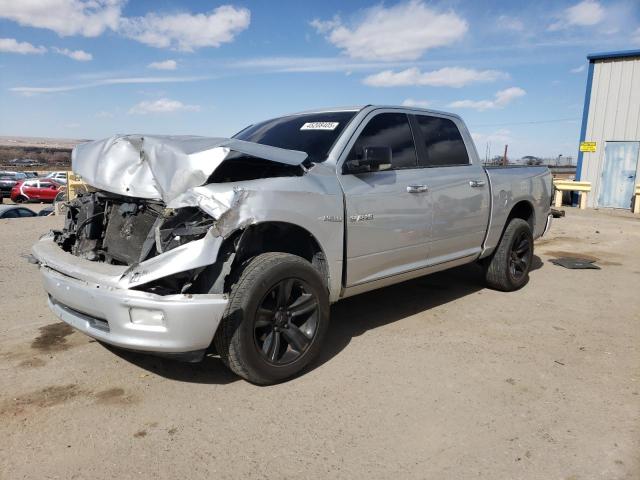 DODGE RAM 1500 2010 with VIN 1D7RB1CT6AS118157 - Photo from auction