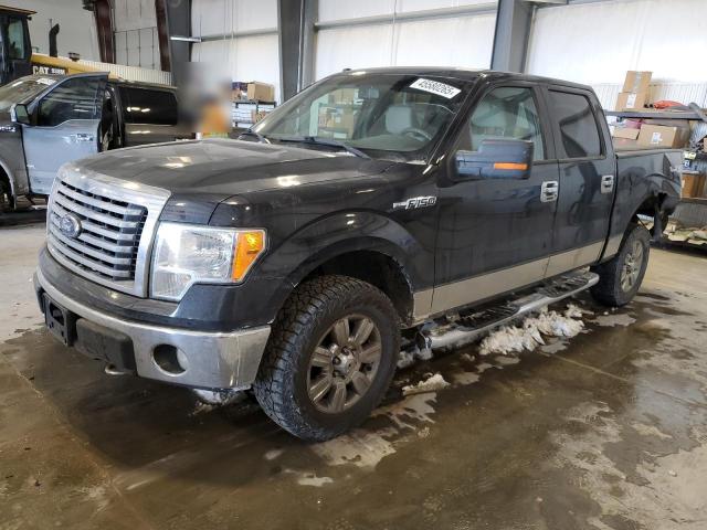 FORD F150 SUPER 2010 with VIN 1FTFW1EV1AFA95217 - Photo from auction