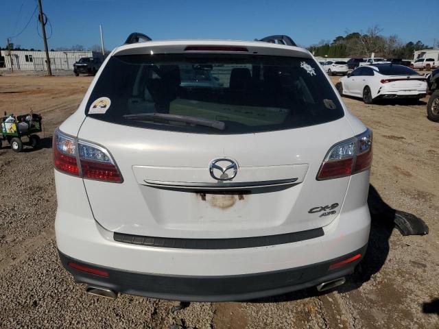 Photo 6 from auction – 2010 MAZDA CX-9 with VIN JM3TB3MA2A0219921