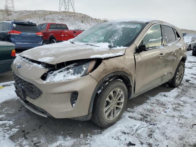 FORD ESCAPE SE 2020 with VIN 1FMCU9G67LUA56039 - Photo from auction