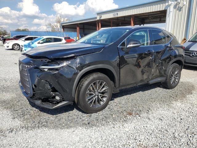 LEXUS NX 250 2023 with VIN 2T2ADCAZ0PC004097 - Photo from auction