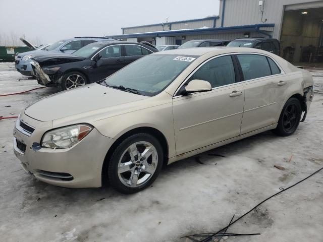 Photo 1 from auction – 2010 CHEVROLET MALIBU 1LT with VIN 1G1ZC5EB2AF145232