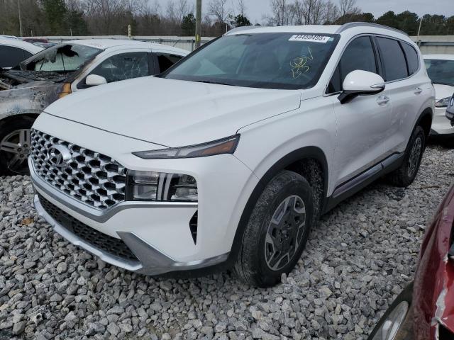 HYUNDAI SANTA FE B 2023 with VIN 5NMS2DA10PH021510 - Photo from auction