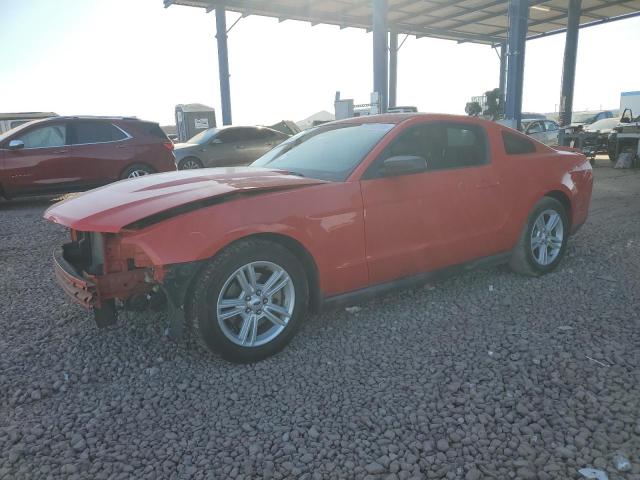 FORD MUSTANG 2012 with VIN 1ZVBP8AM3C5270879 - Photo from auction