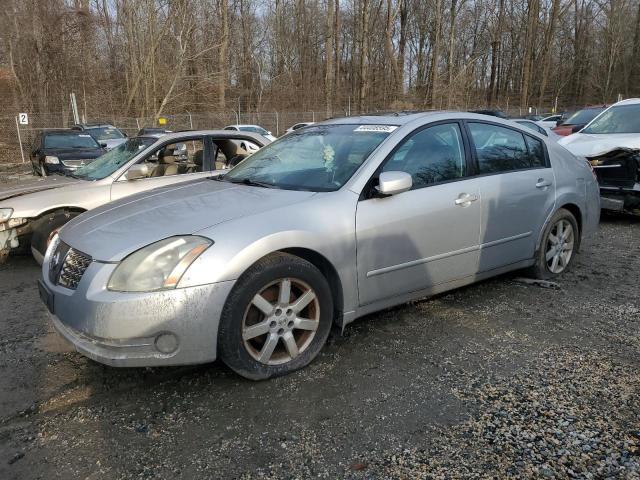 NISSAN MAXIMA SE 2004 with VIN 1N4BA41EX4C809071 - Photo from auction