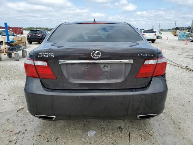 Photo 6 from auction – 2009 LEXUS LS 460 with VIN JTHBL46F395087250