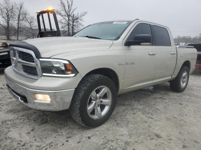 DODGE RAM 1500 2009 with VIN 1D3HV13T19J532453 - Photo from auction