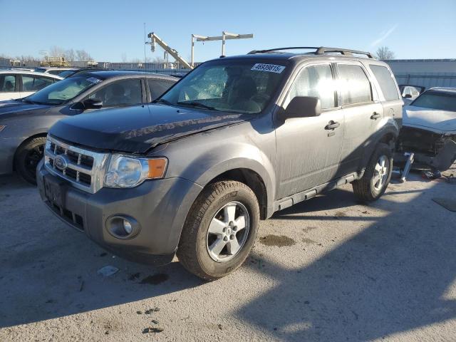 FORD ESCAPE XLT 2009 with VIN 1FMCU03G79KD16034 - Photo from auction