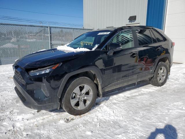 TOYOTA RAV4 LE 2024 with VIN 2T3BWRFV8RW243403 - Photo from auction