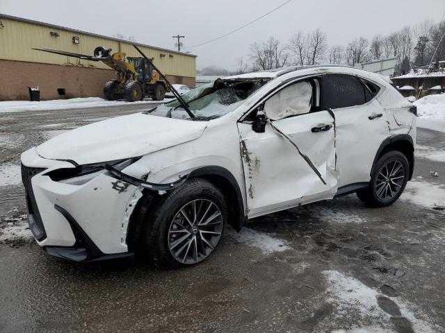 LEXUS NX 350 BAS 2025 с VIN 2T2AGCEZ7SC061570 - Снимка от търг
