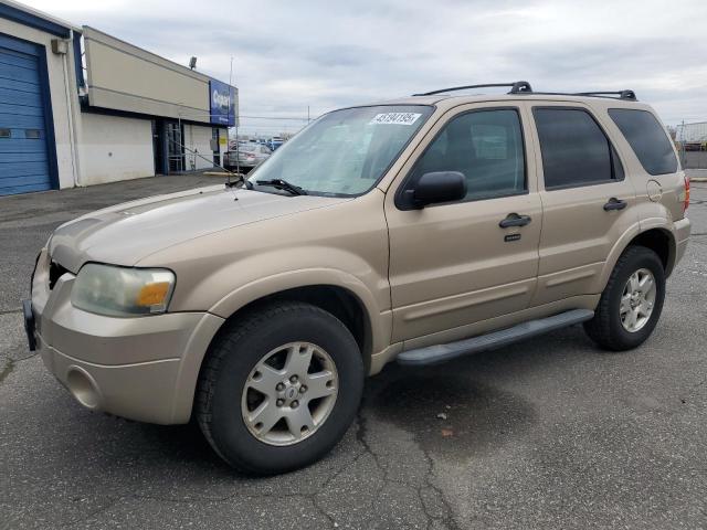 FORD ESCAPE XLT 2007 with VIN 1FMCU93187KA14426 - Photo from auction
