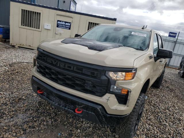 CHEVROLET SILVERADO 2023 with VIN 3GCPDCEK4PG194214 - Photo from auction
