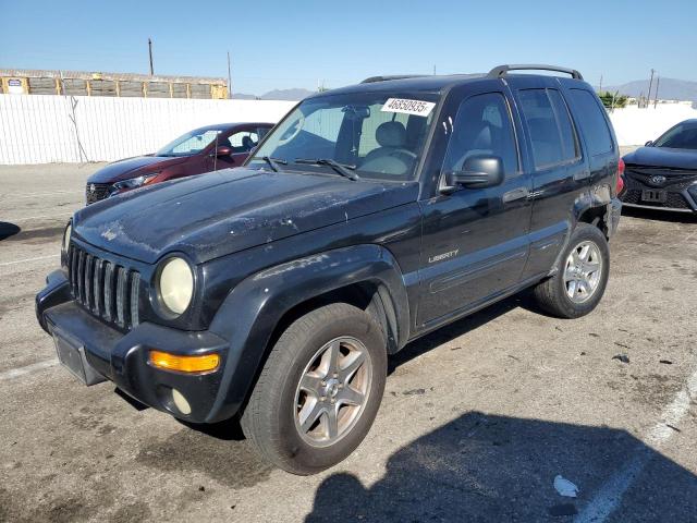 JEEP LIBERTY 2004 with VIN 1J4GK58K14W113447 - Photo from auction