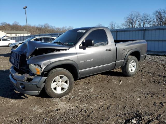 DODGE RAM 1500 2002 con VIN 1D7HA16N12J143907 - Foto de la subasta