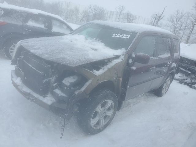 HONDA PILOT EXL 2015 with VIN 5FNYF4H51FB039831 - Photo from auction