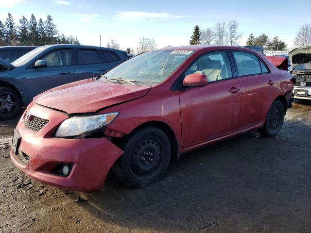 TOYOTA COROLLA BA 2010 with VIN 2T1BU4EE4AC385403 - Photo from auction
