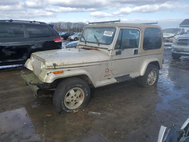 JEEP WRANGLER / 1995 with VIN 1J4FY49S8SP207576 - Photo from auction