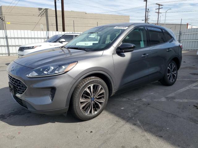 FORD ESCAPE SE 2022 with VIN 1FMCU0G64NUB50278 - Photo from auction