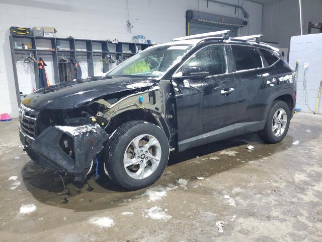 HYUNDAI TUCSON SEL 2023 with VIN 5NMJBCAE7PH214875 - Photo from auction
