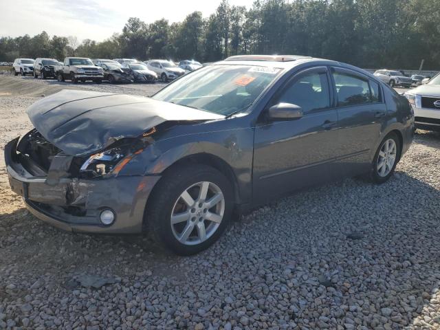NISSAN MAXIMA SE 2005 with VIN 1N4BA41E15C868995 - Photo from auction