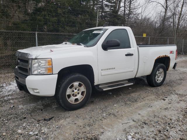 CHEVROLET SILVERADO 2010 with VIN 1GCPKSE02AZ159595 - Photo from auction