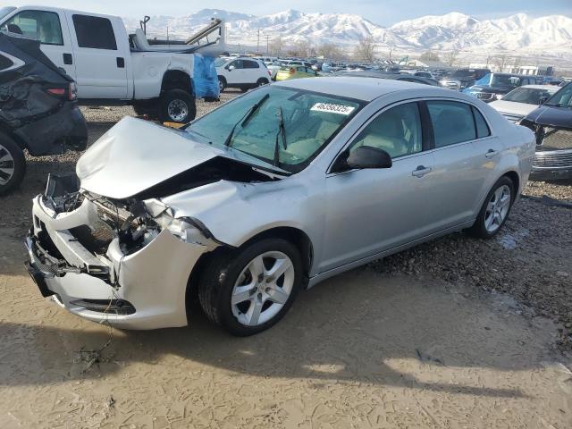 CHEVROLET MALIBU LS 2010 with VIN 1G1ZA5E03AF253041 - Photo from auction