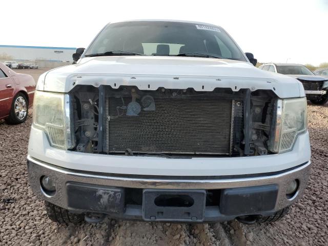 Photo 5 from auction – 2011 FORD F150 SUPER with VIN 1FTFW1EF1BFB85574