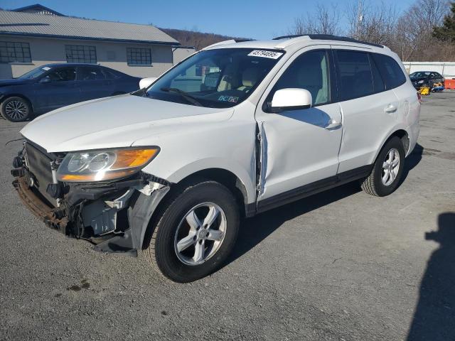 HYUNDAI SANTA FE G 2007 with VIN 5NMSG13D17H069542 - Photo from auction