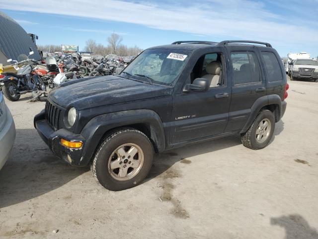 Photo 1 from auction – 2003 JEEP LIBERTY LI with VIN 1J4GL58K13W502634
