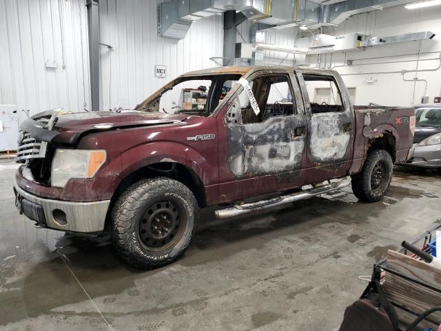 FORD F150 SUPER 2010 with VIN 1FTFW1EV9AFB19943 - Photo from auction