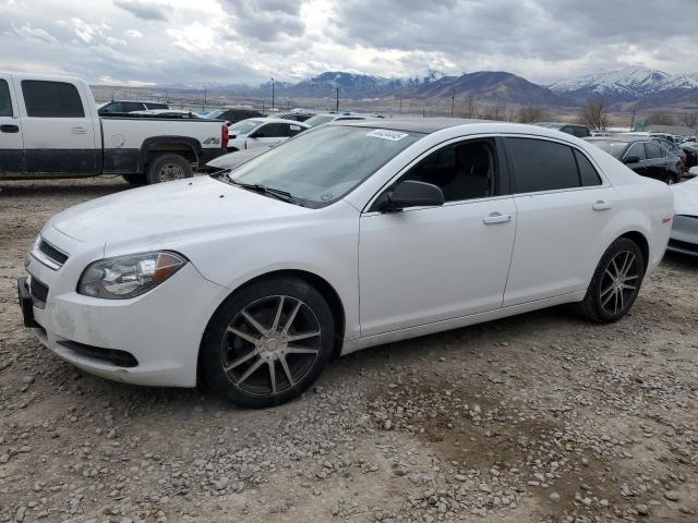 CHEVROLET MALIBU LS 2012 with VIN 1G1ZA5EU9CF303902 - Photo from auction