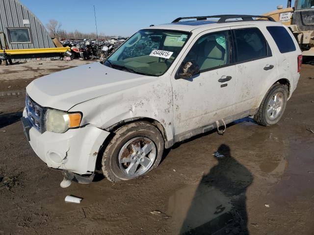 FORD ESCAPE XLT 2010 with VIN 1FMCU9DG4AKD11235 - Photo from auction
