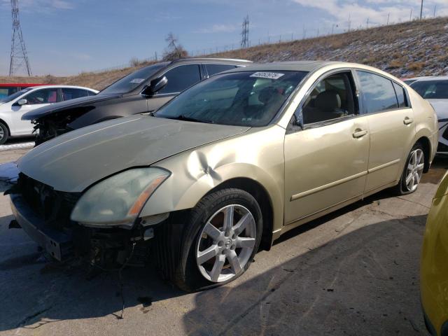 NISSAN MAXIMA SE 2004 with VIN 1N4BA41E44C882730 - Photo from auction