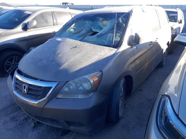 HONDA ODYSSEY EX 2008 with VIN 5FNRL38668B095847 - Photo from auction