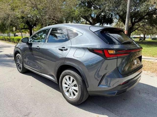 Photo 3 from auction – 2024 LEXUS NX 250 PRE with VIN 2T2GDCAZ3RC008349