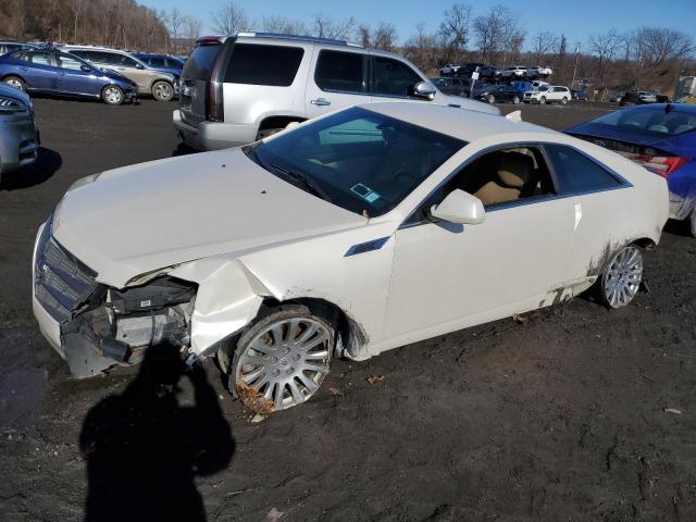CADILLAC CTS PERFOR 2011 with VIN 1G6DL1ED0B0108196 - Photo from auction