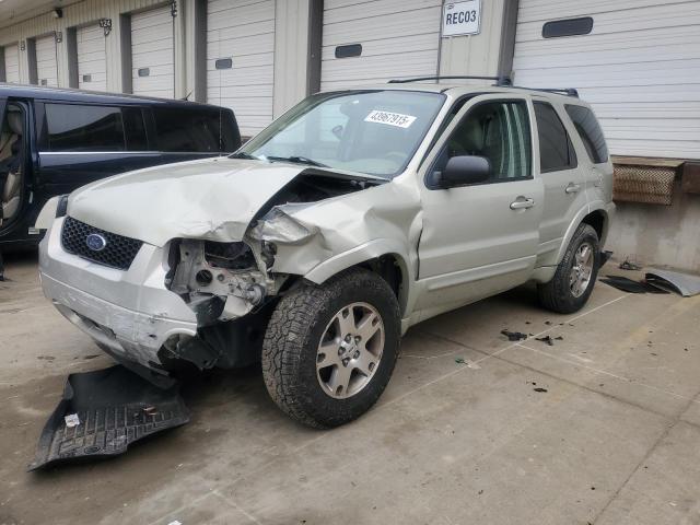 Photo 1 from auction – 2005 FORD ESCAPE LIM with VIN 1FMYU94185KD73843
