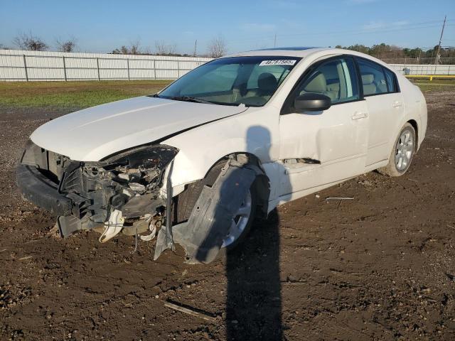 NISSAN MAXIMA SE 2007 with VIN 1N4BA41E57C833833 - Photo from auction