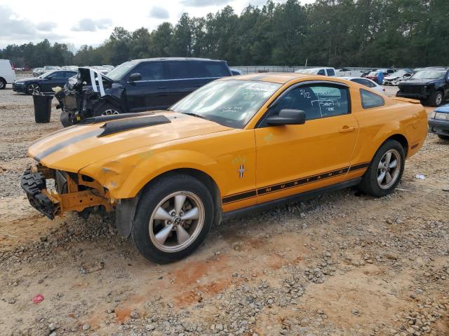 FORD MUSTANG 2007 with VIN 1ZVFT80N675256004 - Photo from auction